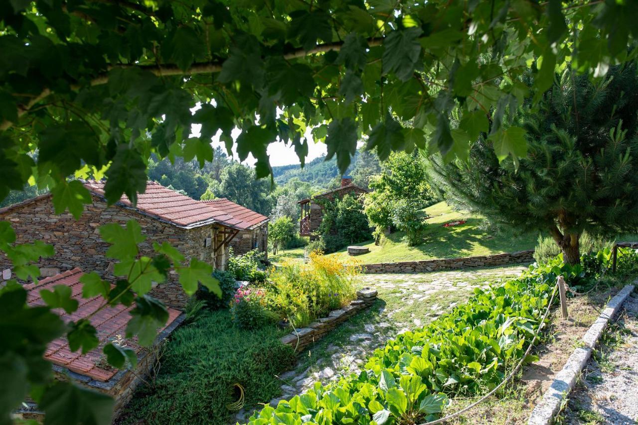 Quinta Da Rabacosa - Turismo Rural Каштру-Дайре Екстер'єр фото