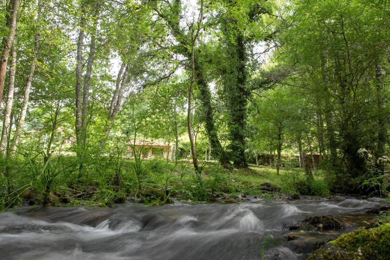 Quinta Da Rabacosa - Turismo Rural Каштру-Дайре Екстер'єр фото