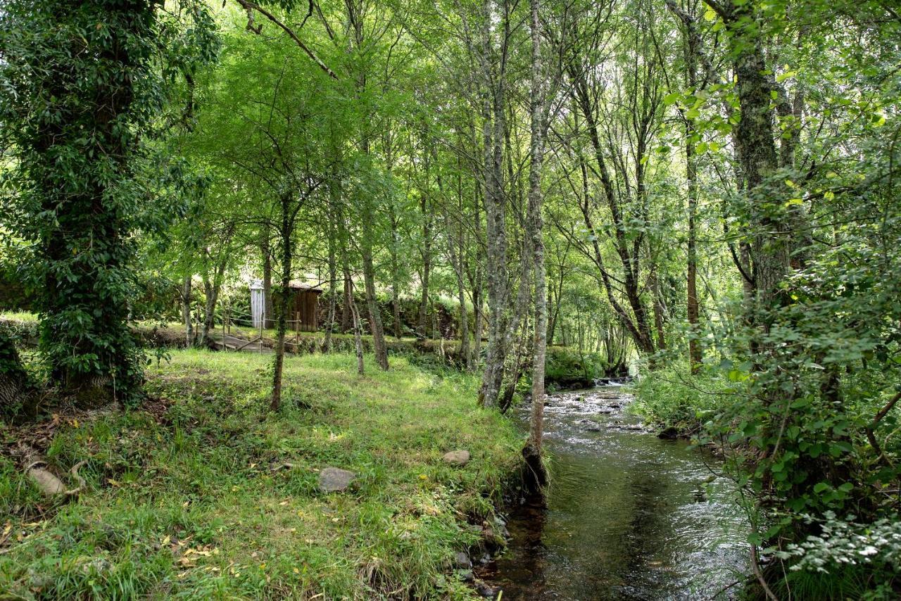 Quinta Da Rabacosa - Turismo Rural Каштру-Дайре Екстер'єр фото