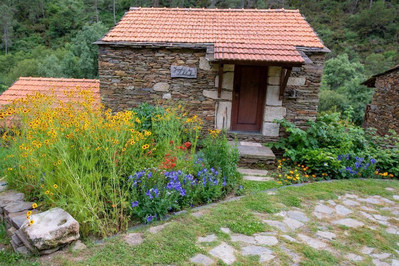 Quinta Da Rabacosa - Turismo Rural Каштру-Дайре Екстер'єр фото
